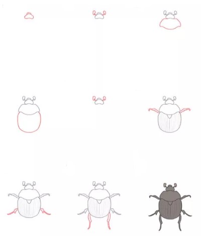 Bir böcek fikri (18) çizimi
