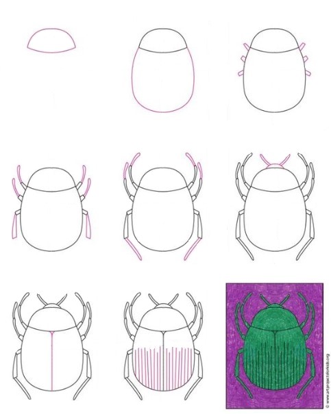 Bir böcek fikri (19) çizimi