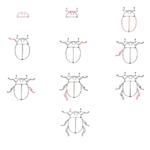 Bir böcek fikri (3) çizimi