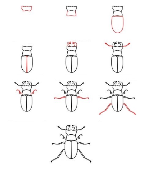 Bir böcek fikri (4) çizimi