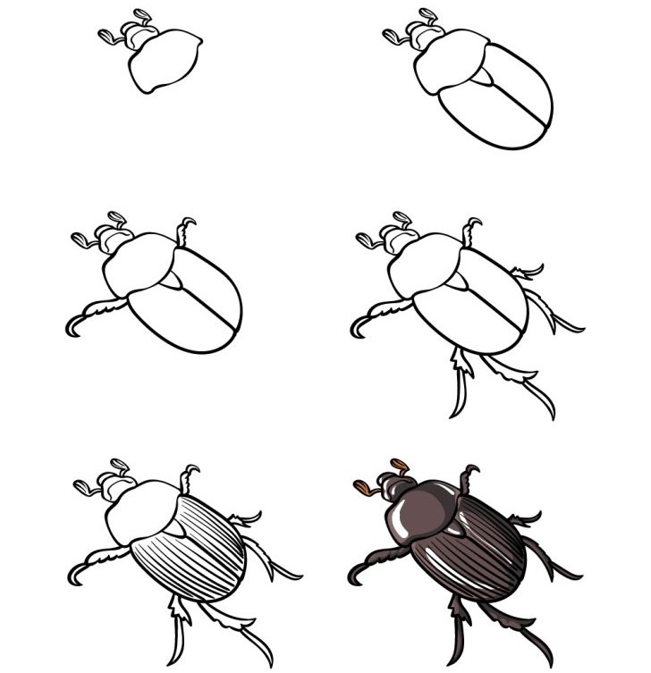 Bir böcek fikri (5) çizimi