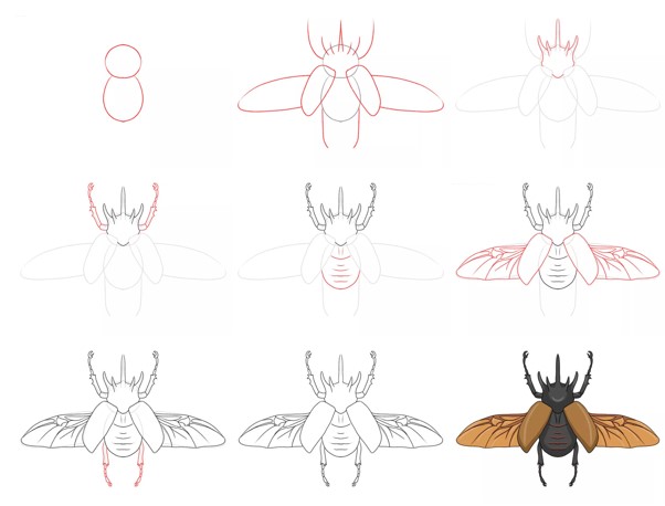 Bir böcek fikri (6) çizimi
