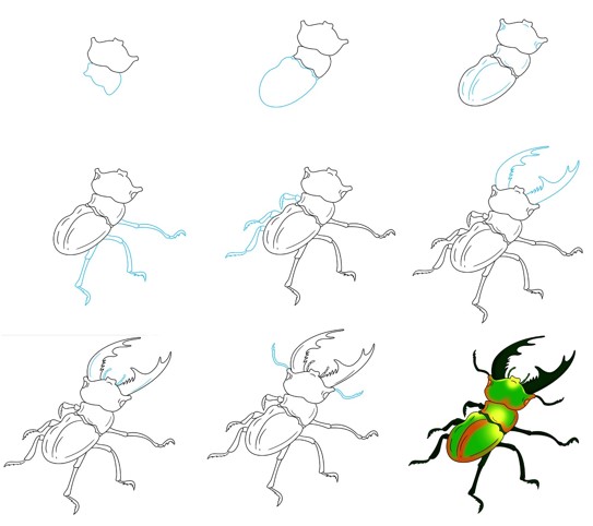 Bir böcek fikri (7) çizimi