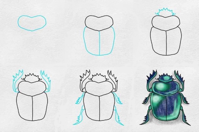 Bir böcek fikri (8) çizimi