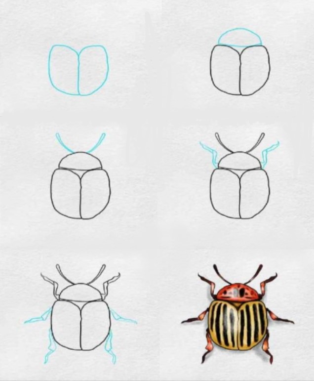 Bir böcek fikri (9) çizimi