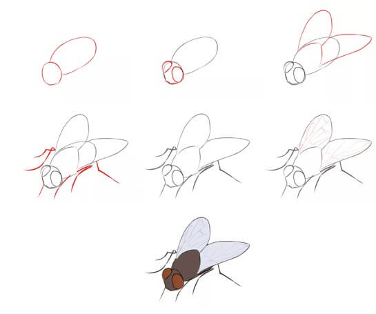 Bir sinek fikri (12) çizimi