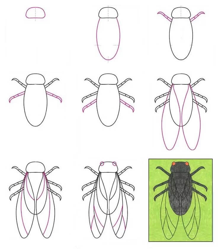 Bir sinek fikri (4) çizimi