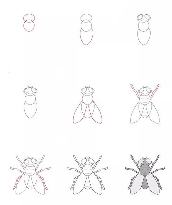 Bir sinek fikri (5) çizimi