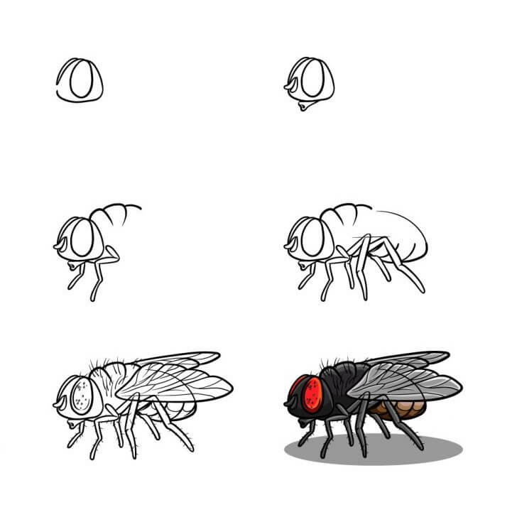 Bir sinek fikri (7) çizimi