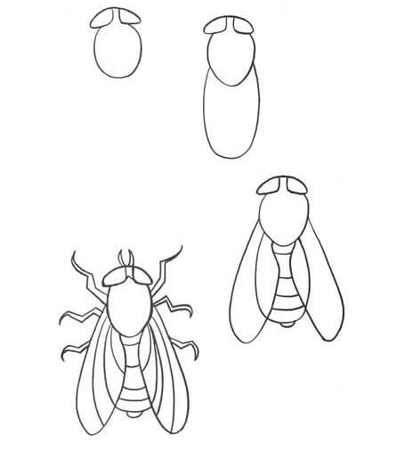 Bir sinek fikri (8) çizimi