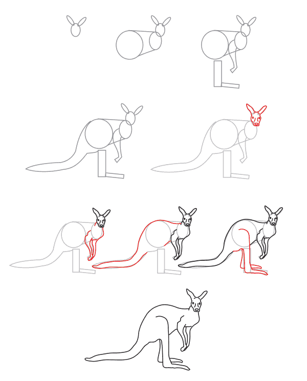 Çocuklar için kanguru (4) çizimi