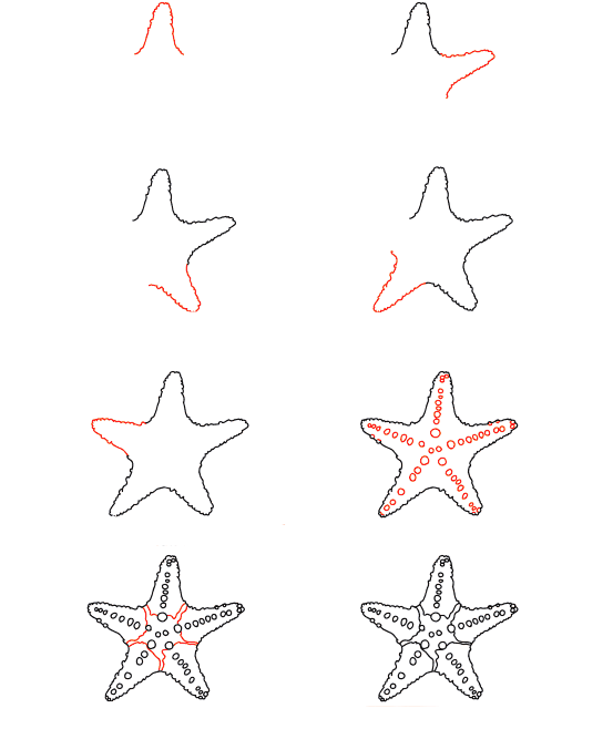 Denizyıldızı Göksel çizimi