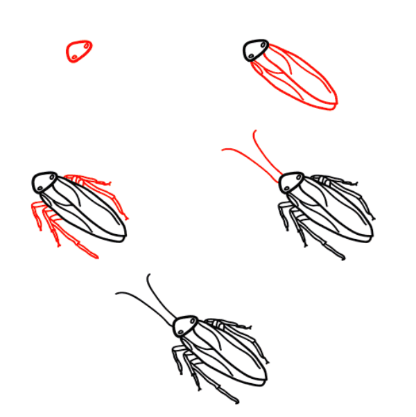 Gerçekçi hamamböceği çizimi