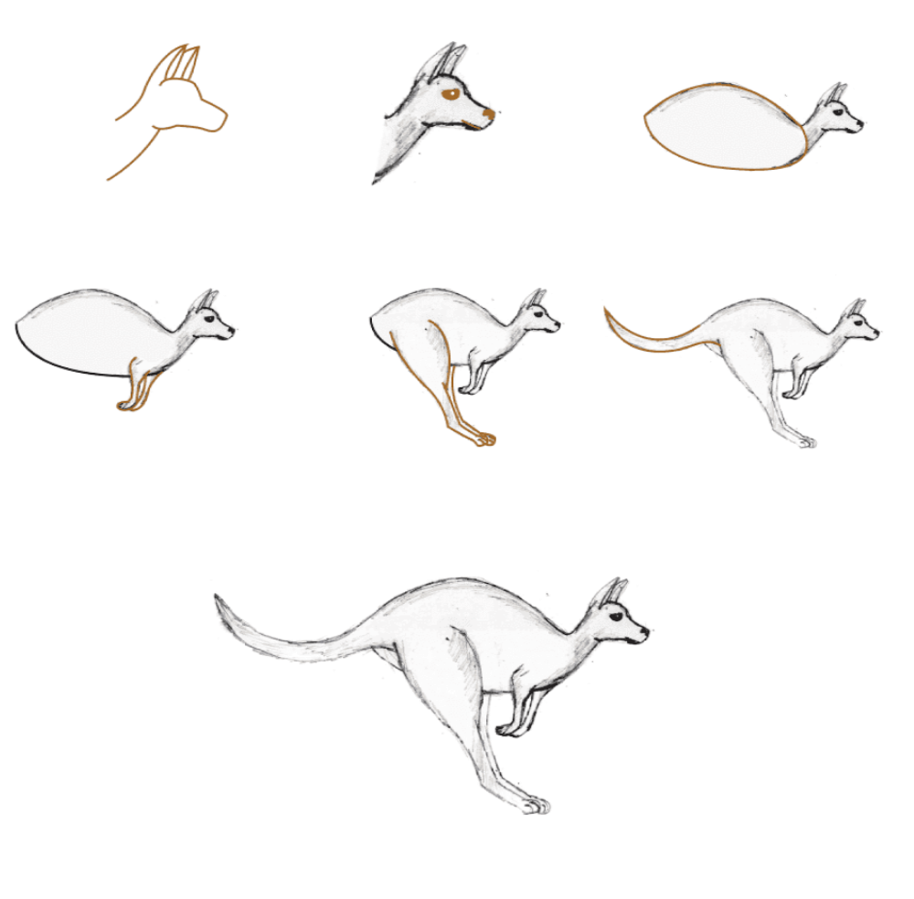Gerçekçi kanguru (4) çizimi