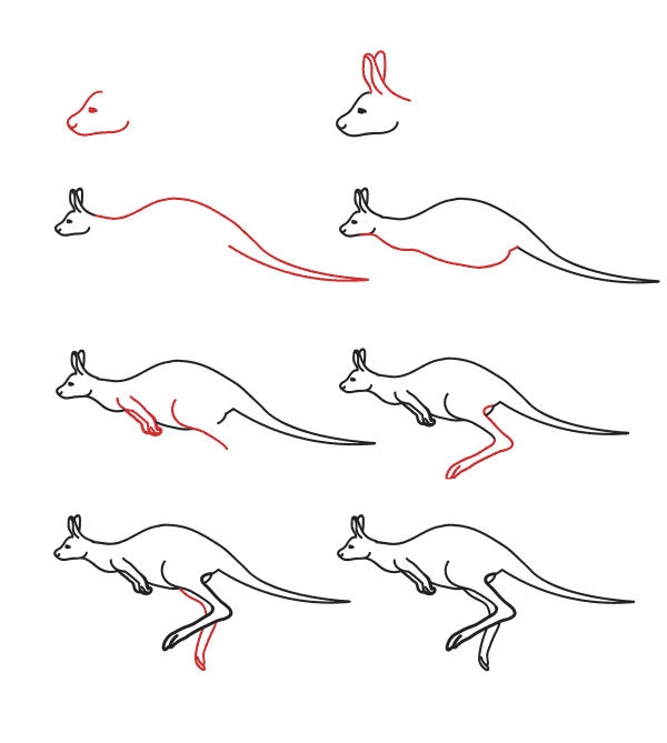 Gerçekçi kanguru (5) çizimi