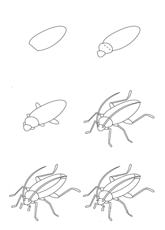 Hamamböceği çizmek için basit adımlar çizimi