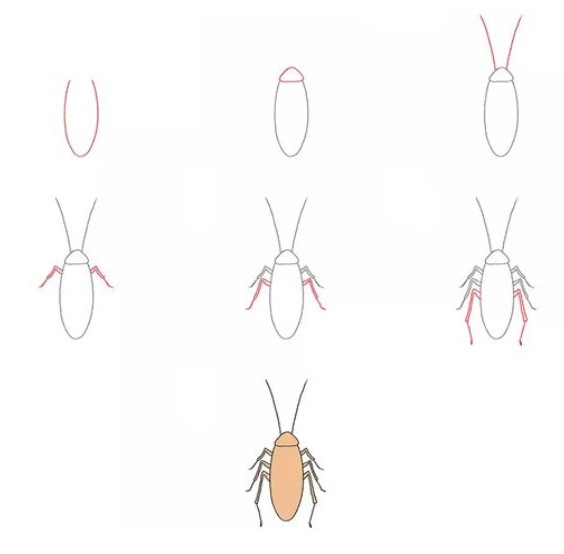 Hamamböcekleri fikri (1) çizimi