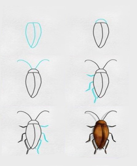 Hamamböcekleri fikri (2) çizimi