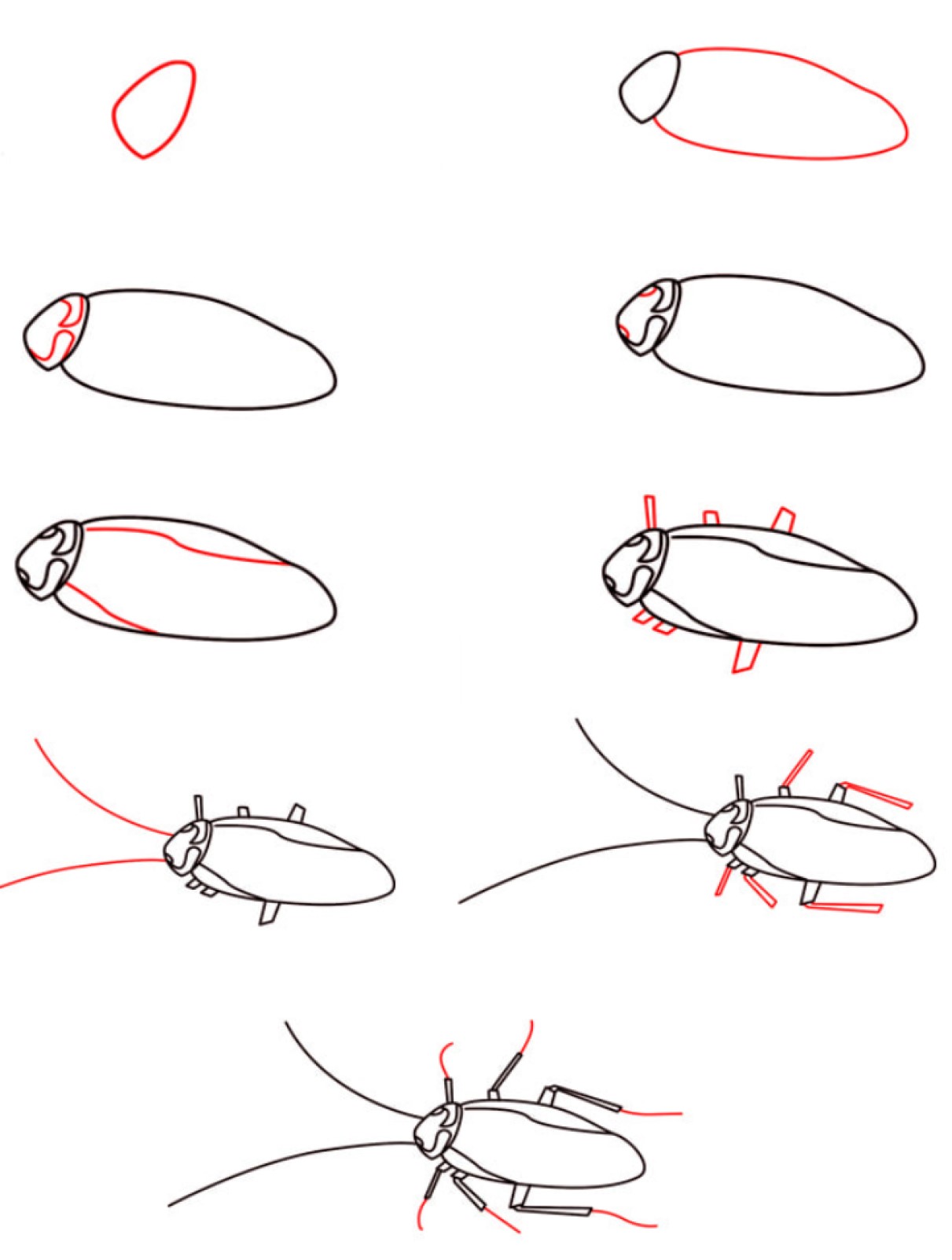 Hamamböcekleri fikri (4) çizimi