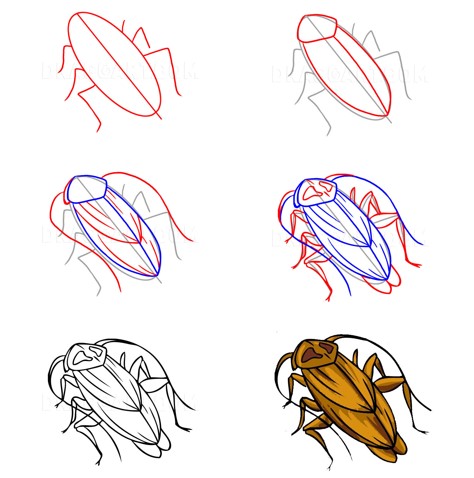 Hamamböcekleri fikri (5) çizimi