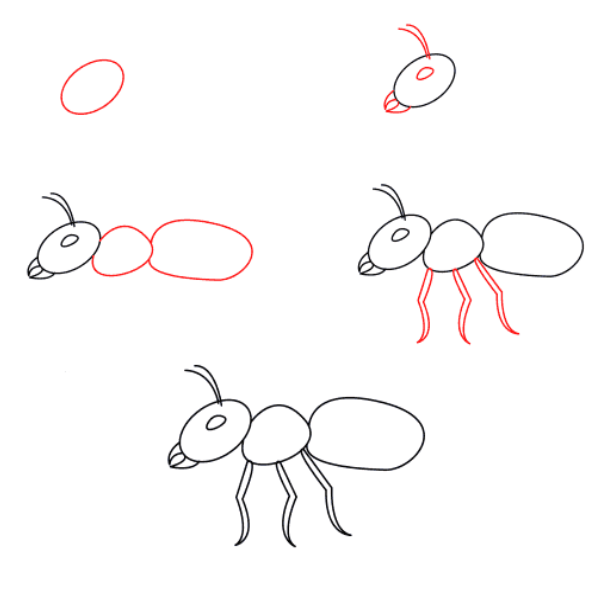İşçi karıncalar (2) çizimi