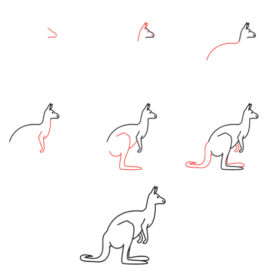Kanguru çizimi