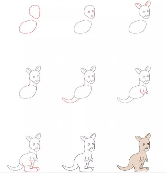 Kanguru fikri (1) çizimi