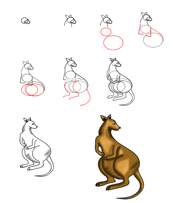 Kanguru fikri (11) çizimi