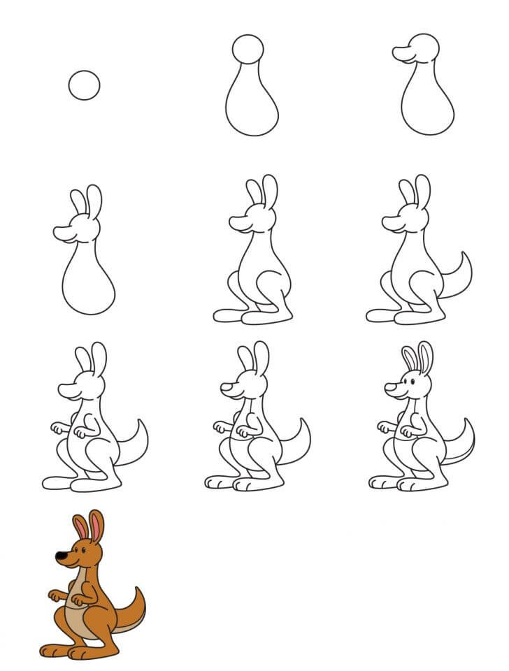 Kanguru fikri (2) çizimi