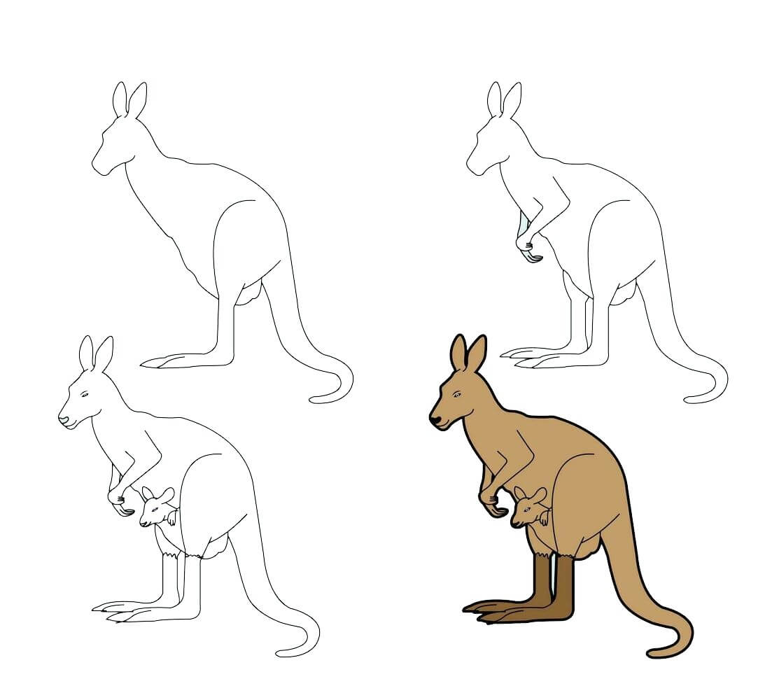 Kanguru fikri (3) çizimi
