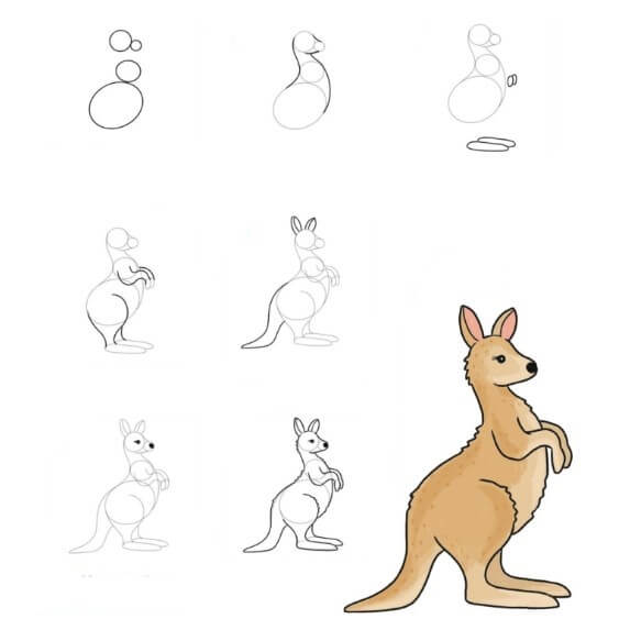 Kanguru fikri (5) çizimi