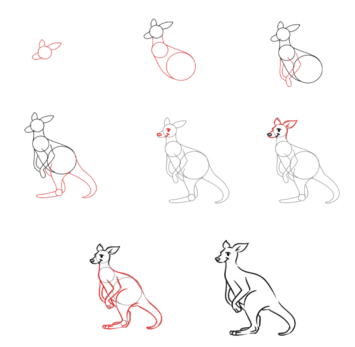 Kanguru fikri (7) çizimi