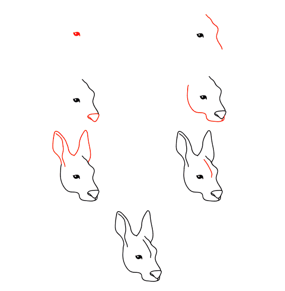 Kanguru yüzü çizimi