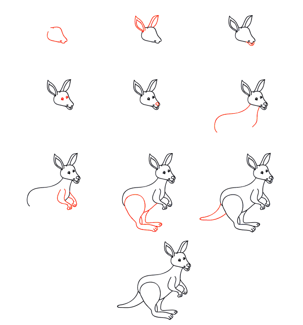 Karikatür kanguru çizimi
