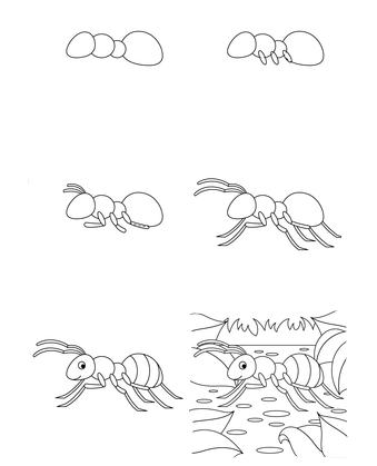 Karınca fikri (1) çizimi