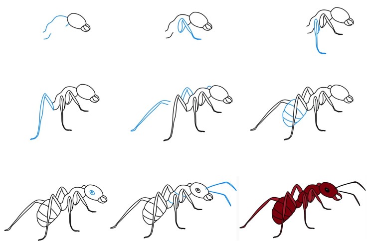 Karınca fikri (10) çizimi