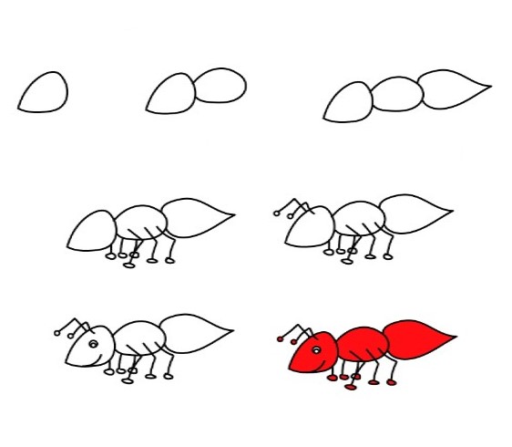 Karınca fikri (11) çizimi