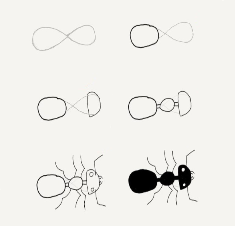 Karınca fikri (12) çizimi