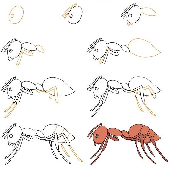 Karınca fikri (15) çizimi