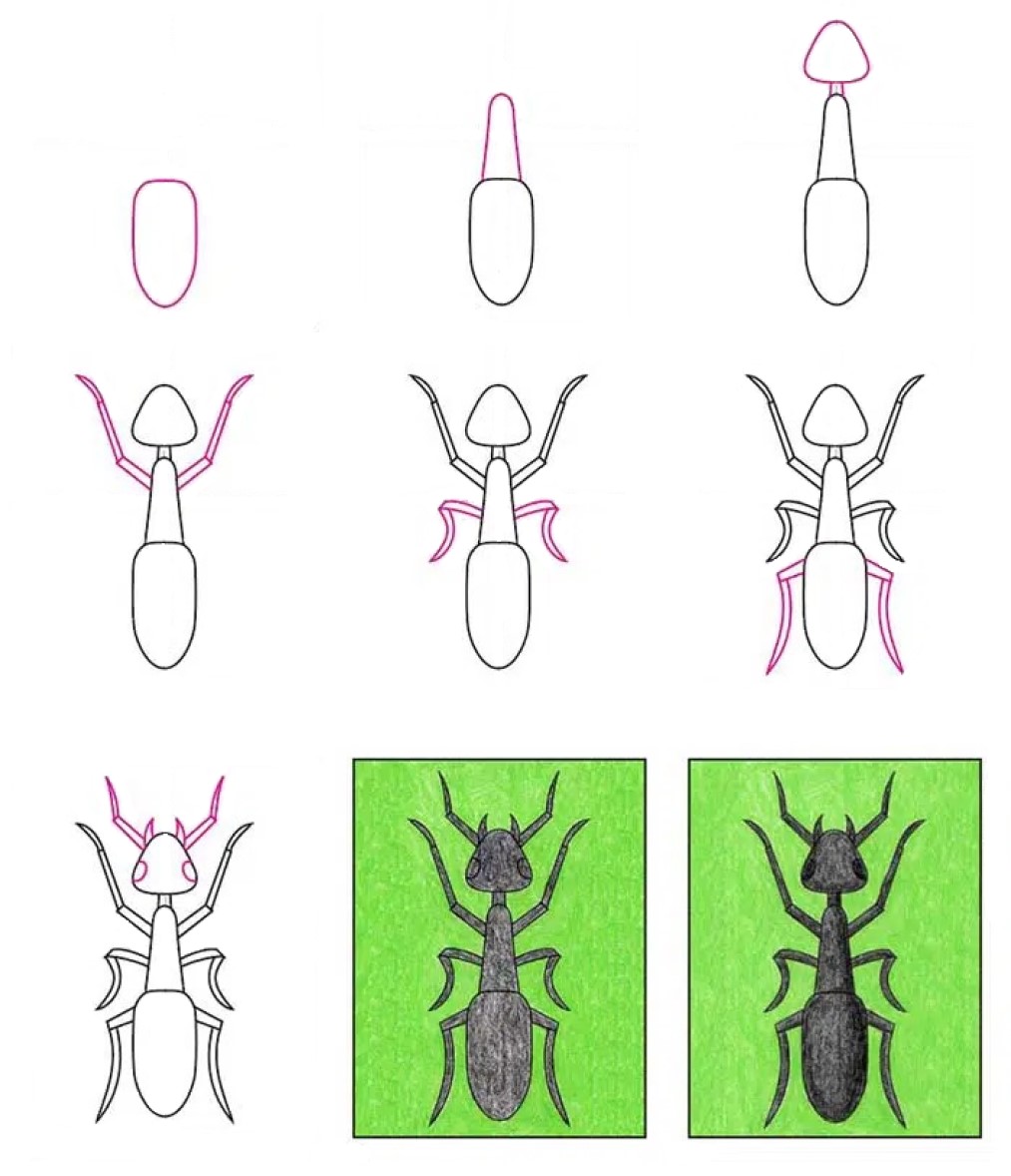 Karınca fikri (19) çizimi