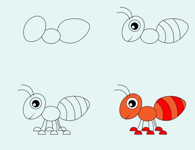 Karınca fikri (2) çizimi