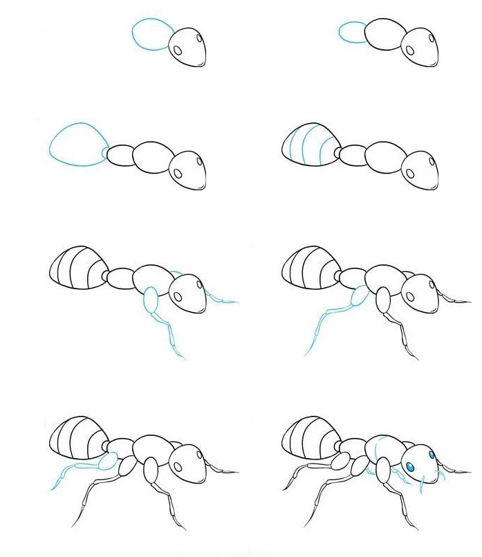 Karınca fikri (22) çizimi