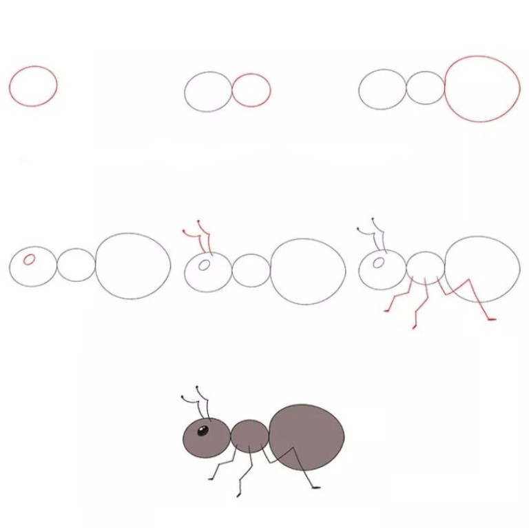 Karınca fikri (3) çizimi