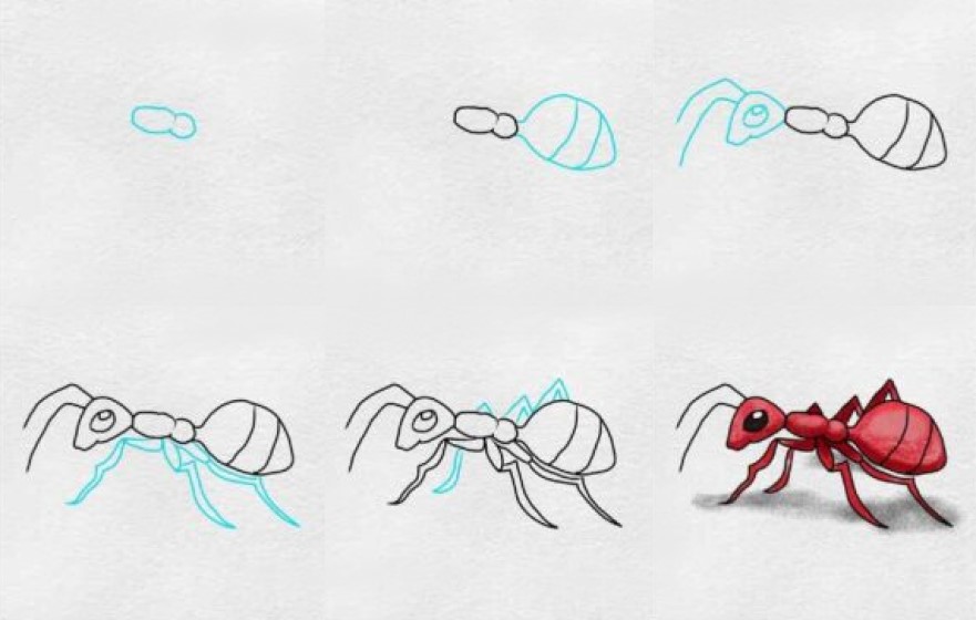 Karınca fikri (5) çizimi