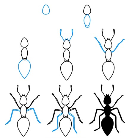Karınca fikri (7) çizimi