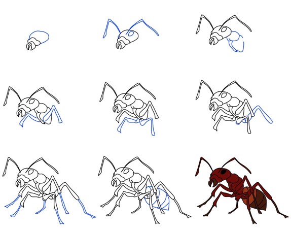 Karınca fikri (9) çizimi