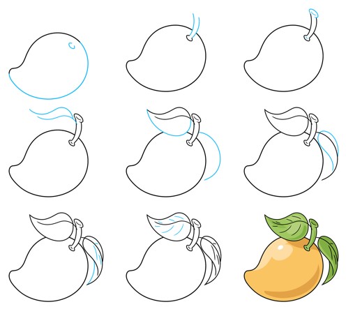 Mango fikri (4) çizimi