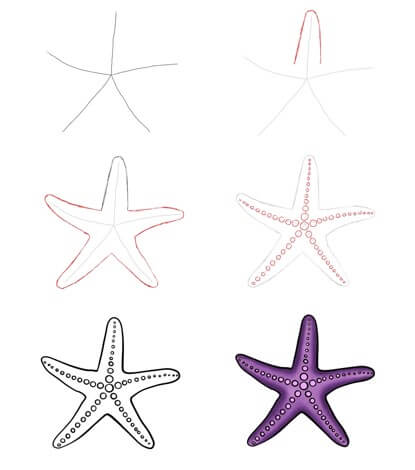 Mor deniz yıldızı çizimi