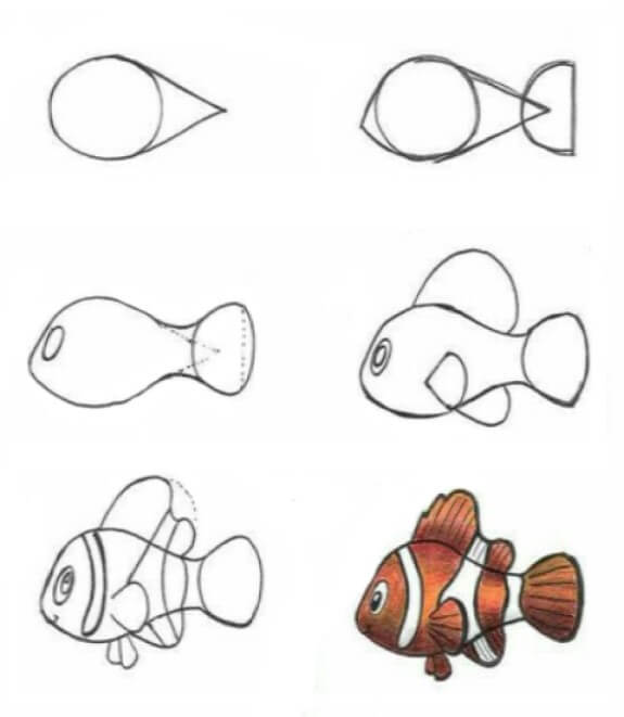 Palyaço balığı 2 çizimi