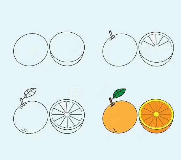 Portakal ikiye kesilmiş 2 çizimi